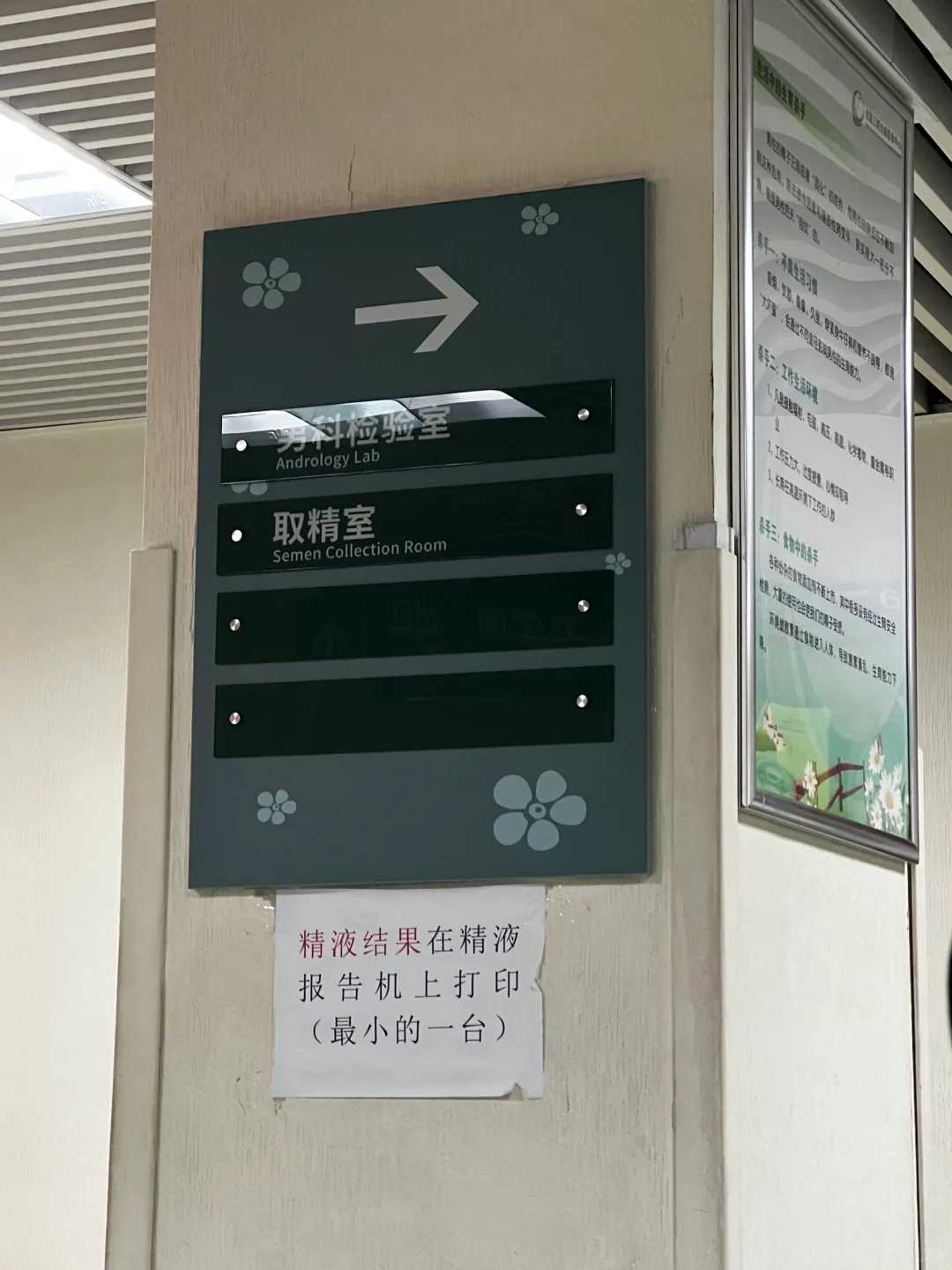 试管婴儿供卵代怀&试管代怀价目表,试管婴儿需要女性自己生育吗？试管婴儿需要女性做什么？