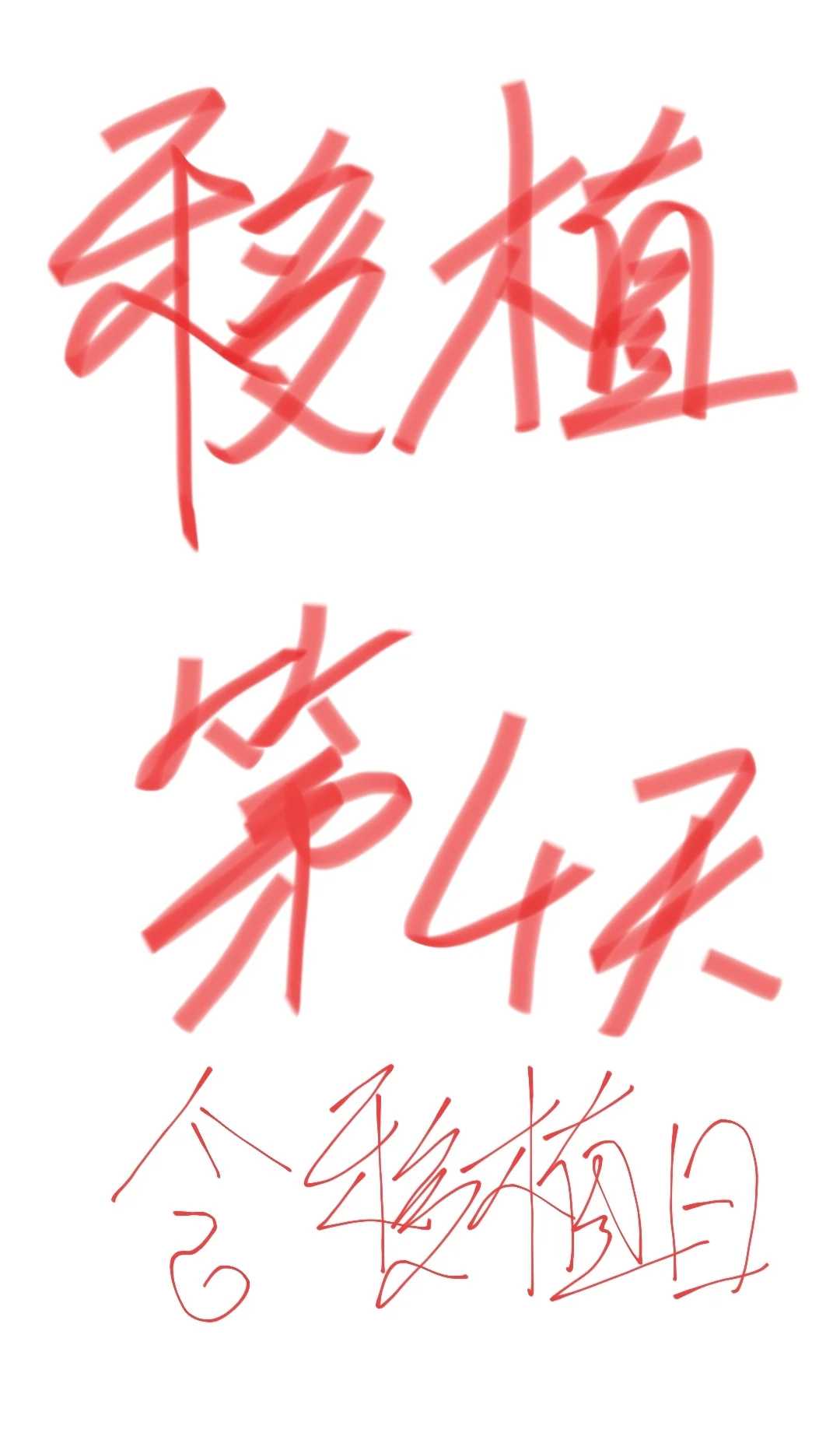 个人代怀电话-代怀一定会成功吗,洮南试管婴儿费用多少(延吉试管婴儿多少钱)
